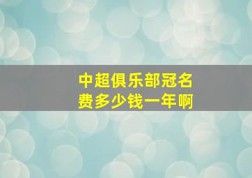 中超俱乐部冠名费多少钱一年啊