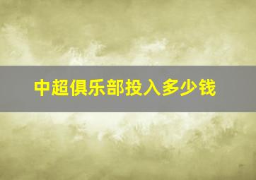 中超俱乐部投入多少钱