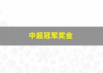 中超冠军奖金