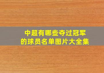 中超有哪些夺过冠军的球员名单图片大全集