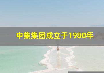 中集集团成立于1980年