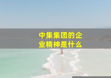 中集集团的企业精神是什么