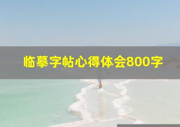 临摹字帖心得体会800字