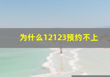 为什么12123预约不上