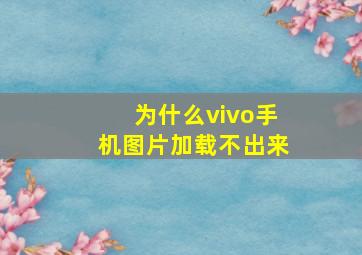 为什么vivo手机图片加载不出来