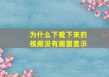 为什么下载下来的视频没有画面显示