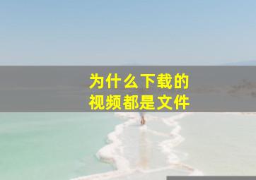 为什么下载的视频都是文件