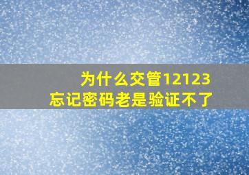 为什么交管12123忘记密码老是验证不了