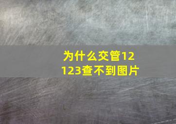 为什么交管12123查不到图片