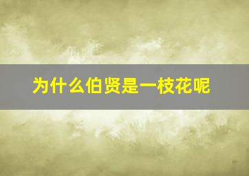 为什么伯贤是一枝花呢