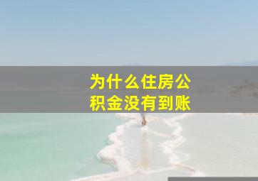 为什么住房公积金没有到账