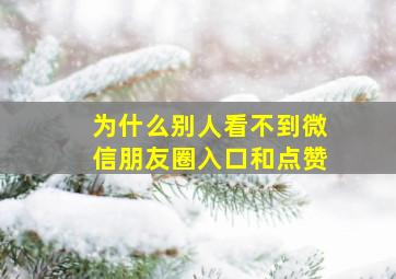 为什么别人看不到微信朋友圈入口和点赞