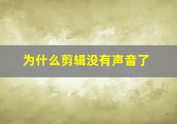 为什么剪辑没有声音了