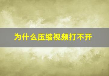 为什么压缩视频打不开