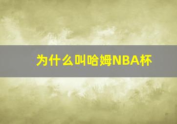 为什么叫哈姆NBA杯