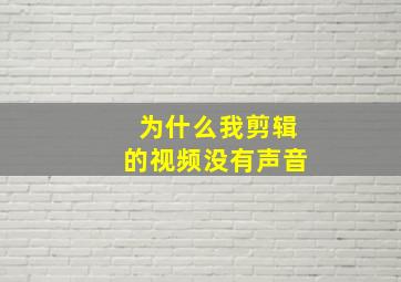 为什么我剪辑的视频没有声音