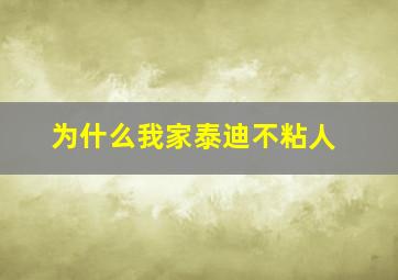 为什么我家泰迪不粘人