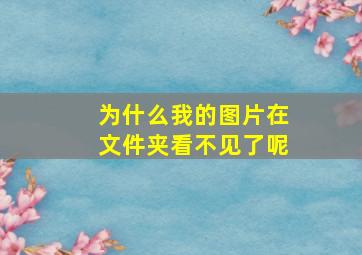 为什么我的图片在文件夹看不见了呢