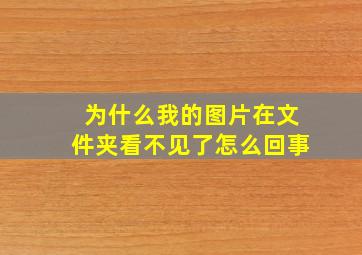 为什么我的图片在文件夹看不见了怎么回事