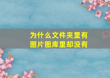 为什么文件夹里有图片图库里却没有