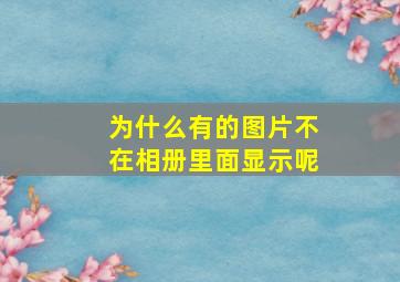 为什么有的图片不在相册里面显示呢