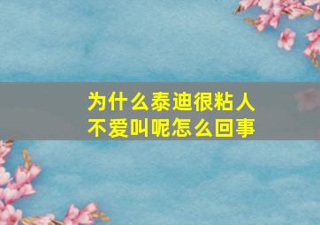 为什么泰迪很粘人不爱叫呢怎么回事