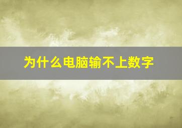 为什么电脑输不上数字