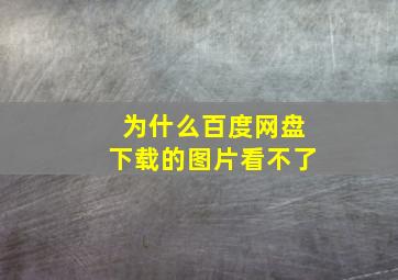 为什么百度网盘下载的图片看不了