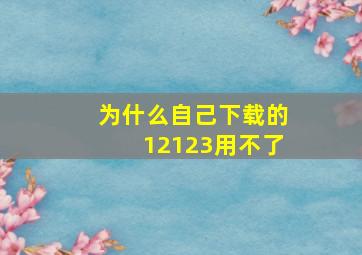 为什么自己下载的12123用不了