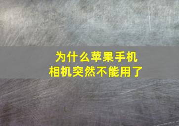 为什么苹果手机相机突然不能用了