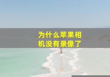 为什么苹果相机没有录像了