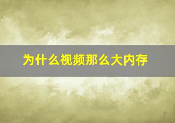 为什么视频那么大内存