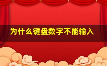 为什么键盘数字不能输入