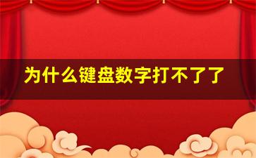 为什么键盘数字打不了了