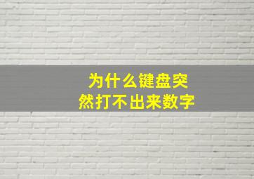 为什么键盘突然打不出来数字