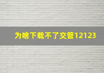 为啥下载不了交管12123