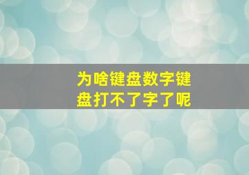 为啥键盘数字键盘打不了字了呢