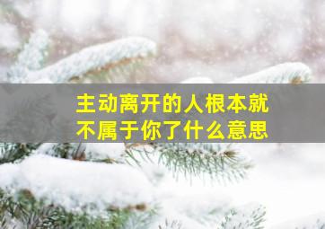 主动离开的人根本就不属于你了什么意思