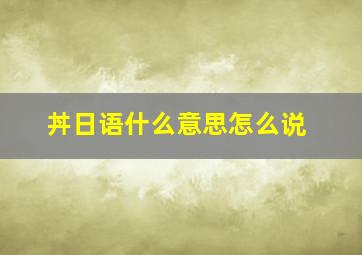 丼日语什么意思怎么说