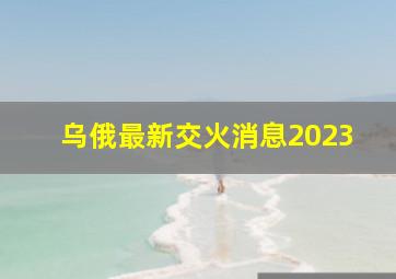 乌俄最新交火消息2023