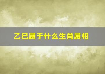 乙巳属于什么生肖属相