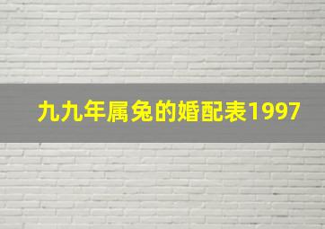 九九年属兔的婚配表1997