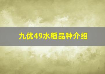 九优49水稻品种介绍