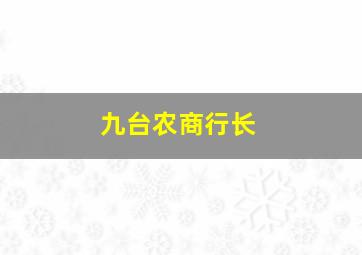 九台农商行长