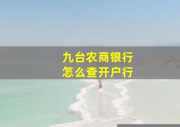 九台农商银行怎么查开户行