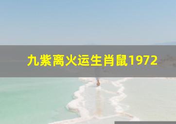 九紫离火运生肖鼠1972