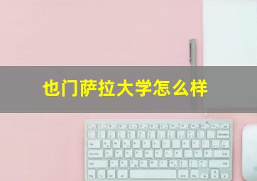 也门萨拉大学怎么样