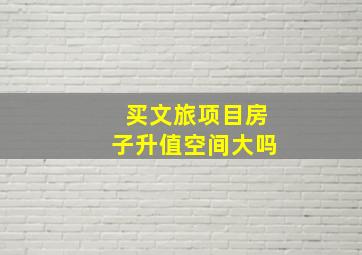 买文旅项目房子升值空间大吗