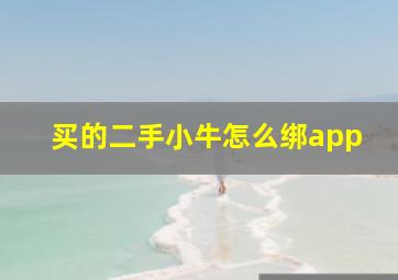 买的二手小牛怎么绑app