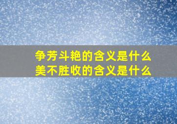 争芳斗艳的含义是什么美不胜收的含义是什么